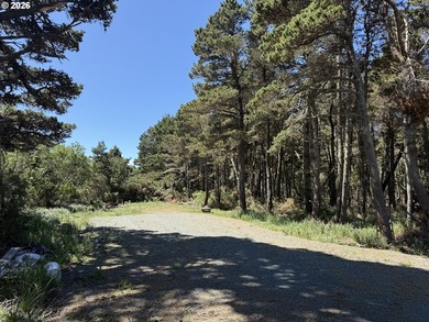 WEST BANDON LOT, .34 acre, in the developing Donut Hole area - photo 4