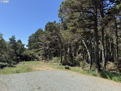WEST BANDON LOT, .34 acre, in the developing Donut Hole area - photo 5