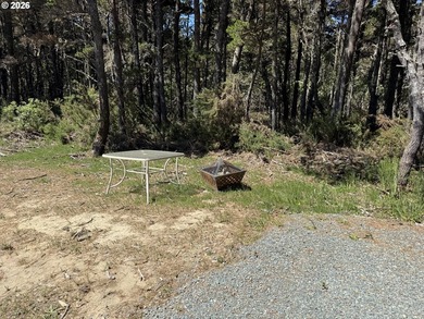 WEST BANDON LOT, .34 acre, in the developing Donut Hole area - photo 6
