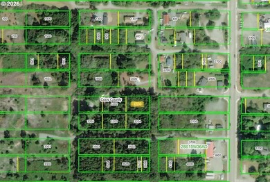 WEST BANDON LOT, .34 acre, in the developing Donut Hole area - photo 7