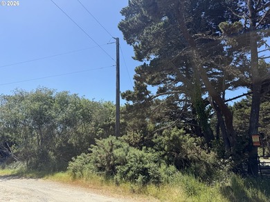 WEST BANDON LOT, .34 acre, in the developing Donut Hole area - photo 8