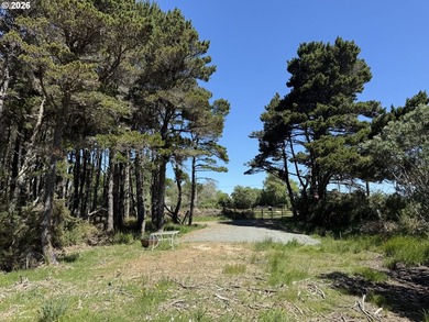 WEST BANDON LOT, .34 acre, in the developing Donut Hole area - photo 10