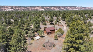 Ramah Reservoir Home For Sale in Ramah New Mexico