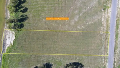 1+ Acre Waterfront Lot on Richland Chambers Lake! - photo 19