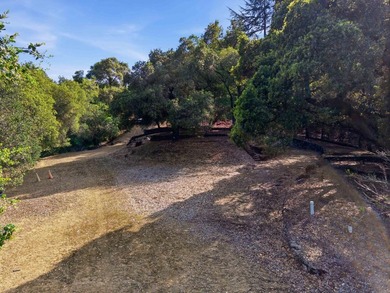 Welcome to Montalvo Manor, a once-in-a-generation opportunity to - photo 12