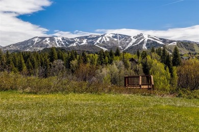 There is no comparable homesite within the city of Steamboat - photo 15