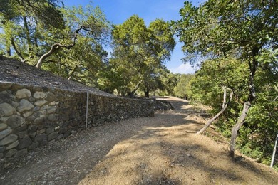 Welcome to Montalvo Manor, a once-in-a-generation opportunity to - photo 19