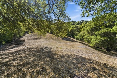 Welcome to Montalvo Manor, a once-in-a-generation opportunity to - photo 21