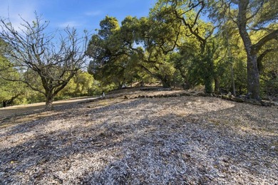Welcome to Montalvo Manor, a once-in-a-generation opportunity to - photo 25