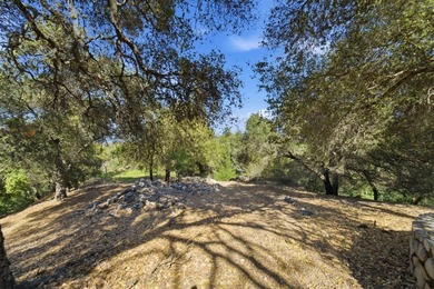 Welcome to Montalvo Manor, a once-in-a-generation opportunity to - photo 26