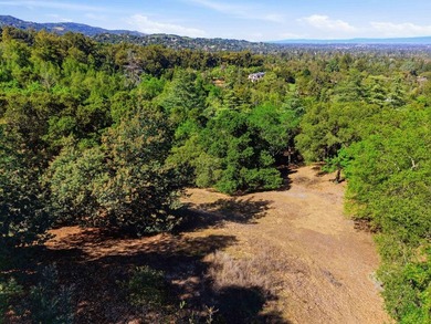 Welcome to Montalvo Manor, a once-in-a-generation opportunity to - photo 31