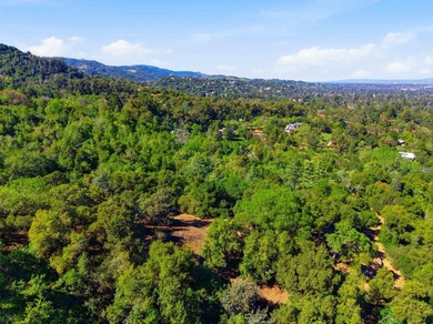 Welcome to Montalvo Manor, a once-in-a-generation opportunity to - photo 32