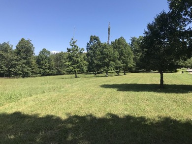 Bring the horses!! Beautiful 10.75 acres of pasture located in - photo 11