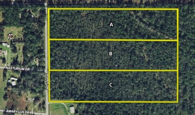 This property is a portion of a larger, heavily wooded property - photo 1