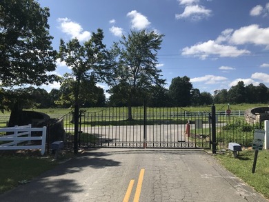 Bring the horses!! Beautiful 10.75 acres of pasture located in - photo 12