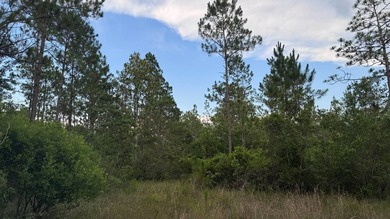This property is a portion of a larger, heavily wooded property - photo 2