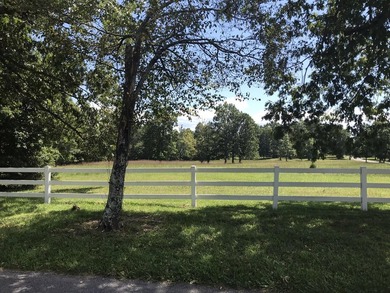 Bring the horses!! Beautiful 10.75 acres of pasture located in - photo 13