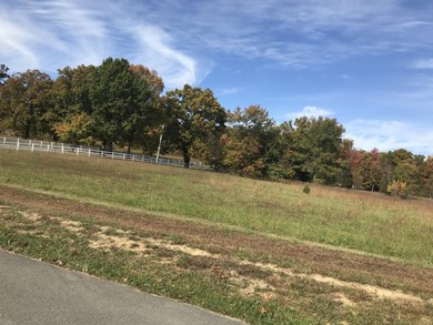 Bring the horses!! Beautiful 10.75 acres of pasture located in - photo 14