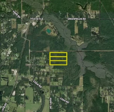 This property is a portion of a larger, heavily wooded property - photo 4