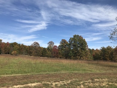 Bring the horses!! Beautiful 10.75 acres of pasture located in - photo 15