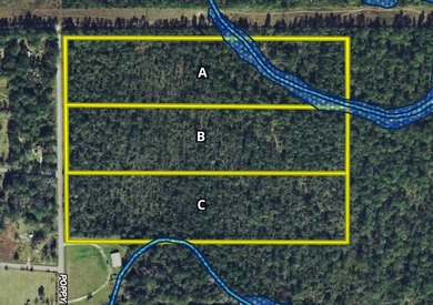 This property is a portion of a larger, heavily wooded property - photo 5