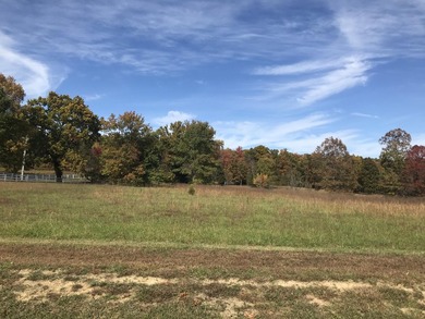Bring the horses!! Beautiful 10.75 acres of pasture located in - photo 16