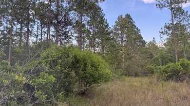 This property is a portion of a larger, heavily wooded property - photo 6