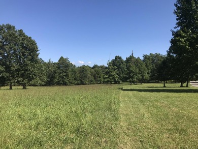 Bring the horses!! Beautiful 10.75 acres of pasture located in - photo 17