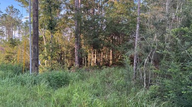 This property is a portion of a larger, heavily wooded property - photo 7