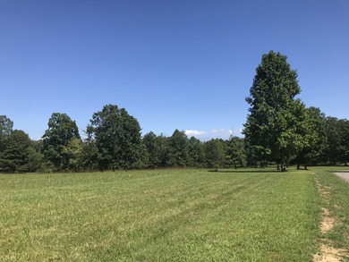 Bring the horses!! Beautiful 10.75 acres of pasture located in - photo 18