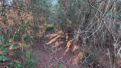 This property is a portion of a larger, heavily wooded property - photo 8