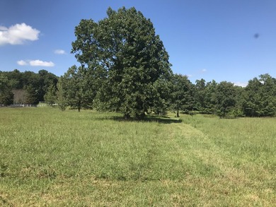 Bring the horses!! Beautiful 10.75 acres of pasture located in - photo 19