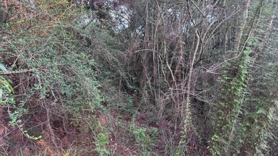 This property is a portion of a larger, heavily wooded property - photo 9