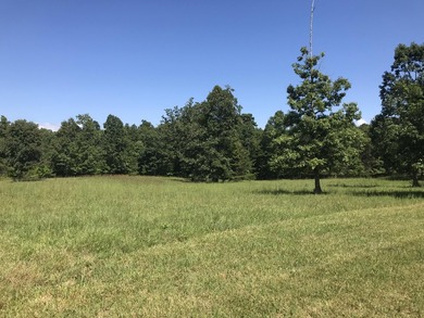 Bring the horses!! Beautiful 10.75 acres of pasture located in - photo 20