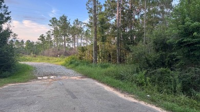 This property is a portion of a larger, heavily wooded property - photo 10
