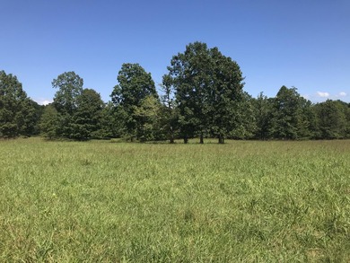 Bring the horses!! Beautiful 10.75 acres of pasture located in - photo 21
