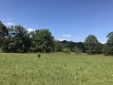 Bring the horses!! Beautiful 10.75 acres of pasture located in - photo 22