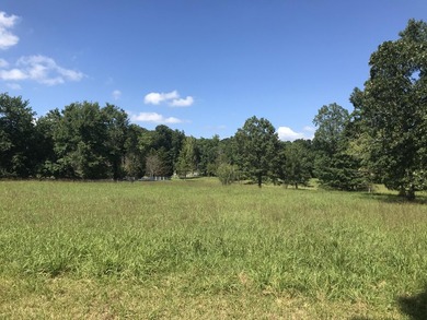 Bring the horses!! Beautiful 10.75 acres of pasture located in - photo 23