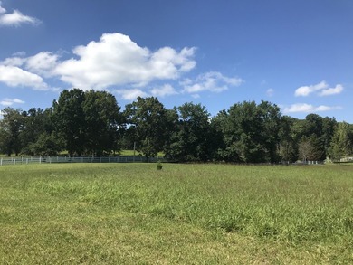 Bring the horses!! Beautiful 10.75 acres of pasture located in - photo 24