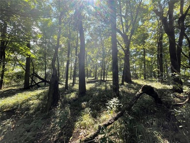 Located within the Wolf-Ridge Estate, this is a beautiful - photo 12