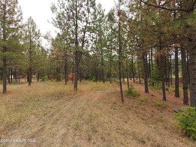 Opportunity awaits on this nearly one-acre parcel in Spirit Lake - photo 12
