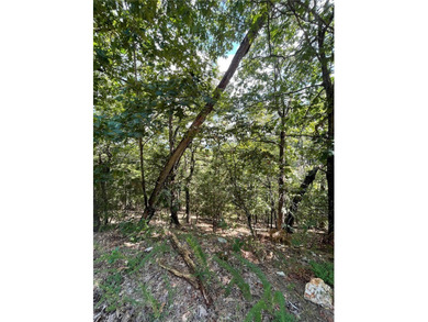 Located within the Wolf-Ridge Estate, this is a beautiful - photo 13