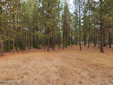 Opportunity awaits on this nearly one-acre parcel in Spirit Lake - photo 13