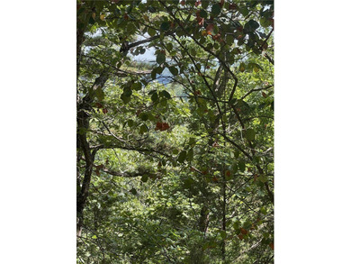 Located within the Wolf-Ridge Estate, this is a beautiful - photo 14