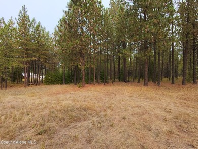 Opportunity awaits on this nearly one-acre parcel in Spirit Lake - photo 14
