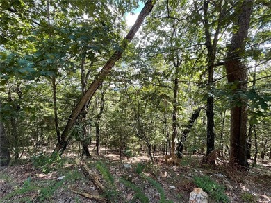 Located within the Wolf-Ridge Estate, this is a beautiful - photo 15