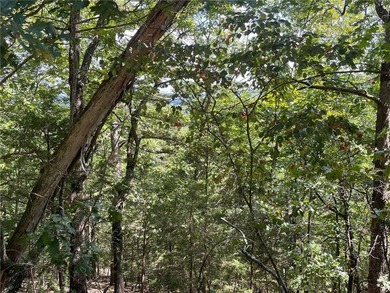 Located within the Wolf-Ridge Estate, this is a beautiful - photo 16