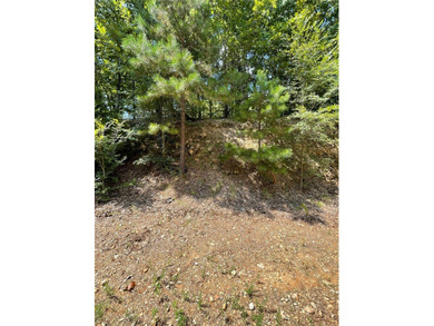 Located within the Wolf-Ridge Estate, this is a beautiful - photo 18