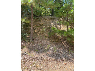 Located within the Wolf-Ridge Estate, this is a beautiful - photo 19