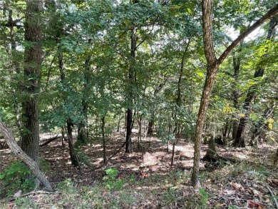 Located within the Wolf-Ridge Estate, this is a beautiful - photo 21